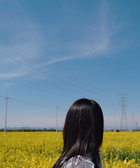 ���������׸�¥��97�꽷��С���