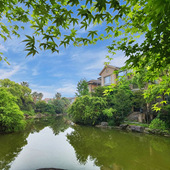 ������ķ�Ҷ