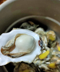 5ëһ�������