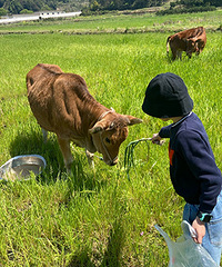 ����̤��