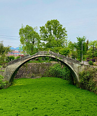 С��źͶ���