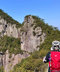 ���ͷ�� ������