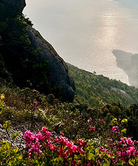 ӳɽ�쿪�ļ���