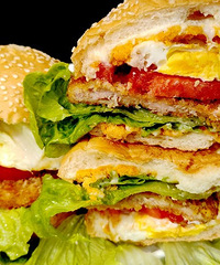 ������������������һ�ٶ������