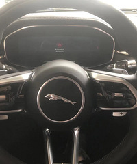 �Լݽݱ�XFL-Ʒ��Ҷ����