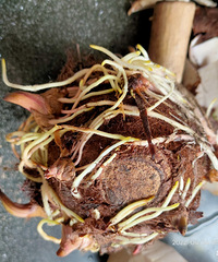 ��ͷ���������ˣ��Ͻ����˰ɣ�