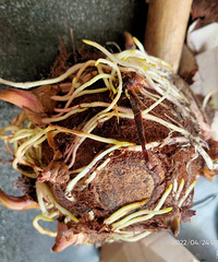 ��ͷ���������ˣ��Ͻ����˰ɣ�