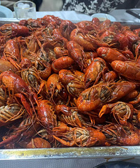 ���Ի���̨��No.63��ʵ�������С��Ϻ����