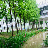 �������ֲ���������