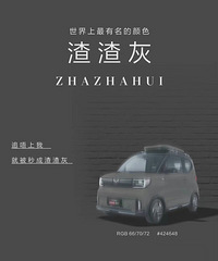 �����ԣ���ʨ�ۣ��������̣����������ɫ�������Ƿ���