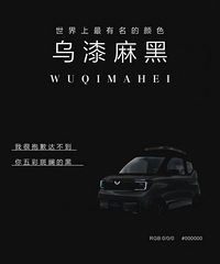 �����ԣ���ʨ�ۣ��������̣����������ɫ�������Ƿ���