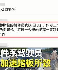 ��˹����Ӧ������ɲ��ʧ����ٵ�170��ϵ��ʻԱ��ȼ���̤��