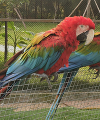 92�꽷��MM��ҽ����ҵ���Ը���ÿ����ͣ�ϣ�������ܶ�������