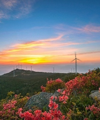 2022һƼ2022һȥ棬2022̨һι