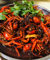 #������ʳ��#