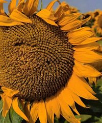 90�걦�����������ֹۣ���������������50w+