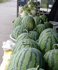 �������ġ�����8��һ���������ڴ�ĬĬ���߿���