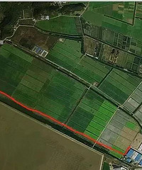 ��ǰ���У�̨����Щ·��ʵ�н�ͨ����