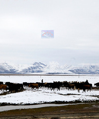 �������ߵ�������Լ��¸������ന����֮��ľ��