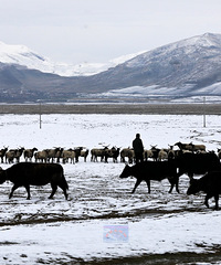 �������ߵ�������Լ��¸������ന����֮��ľ��