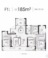 ��ͩ����������