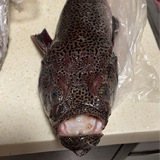 ����ʲô�㣬����ʶ����