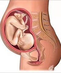 ���������������ˣ�����Ӱ��̥������