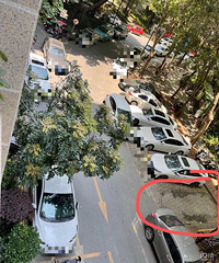 ���������ġ���ë����������ܷ�ͣ��ȥ��