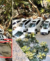 ��ë����������ܷ�ͣ��ȥ��