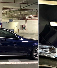 �����Ҽ������ǳ�̫��