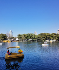 93��˫����Ů����˫���������Ͻ��ģ�Ƥ����𪣬�����п�