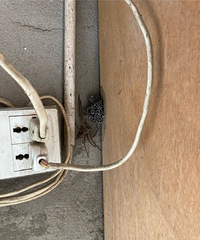 �ⶫ����ô��궼�ŵ���