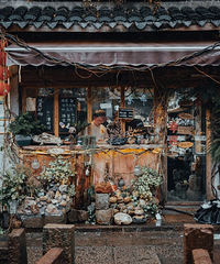 Զ����Զ�����Ĳ�ͣ