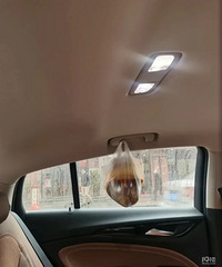 ������Ļ���ܸе�������������������Ӱ