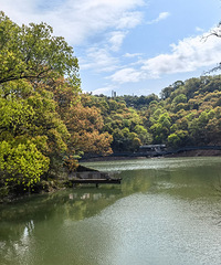 ̫ɽµˮˮ⡢̫ɽŵͺǶ