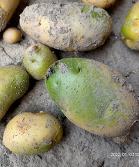 ���ڿ��������������ֵĶ���������