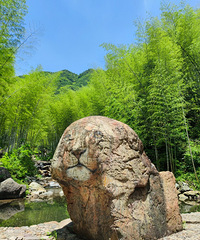 ��������ط����ʺ�������