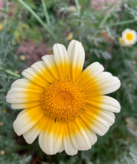 [����]��ʵ���ž������ֻ�������Ľ���˵��»�����ʵ.....