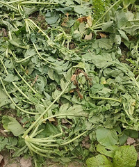 ���ǹ�����Ʒ��͵�������ô������