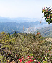 񻷴ͷɽ֮ɽʢŵĶž黨