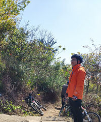 [����]�ڴ���ͷɽ��������֮������ɽ��ʢ���ŵĶž黨