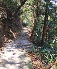 彻紦̫ɽ⡢춷ƽ¿