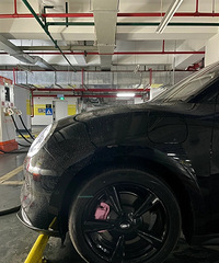 ���������ġ���è��챿�ǯ��ɫ�úÿ�����Ҫ������