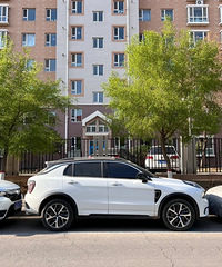 ���������ġ�ţ�ƣ�����ֱ�����ˡ�