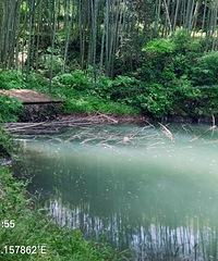 �ٻƹŵ����ߣ���һ�ʹ�ĩ��ɽ��ˮ��