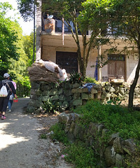 [����]�ٻƹŵ�ͽ������һ�ʹ�ĩ�ĳ���ɽ��ˮ��