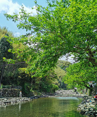 �������ٺ���Ϫɽ���еĹ��ϵ��δ����䡪��᮵���