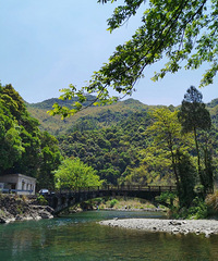 ٺϪɽеĹϵδ䡪᮵