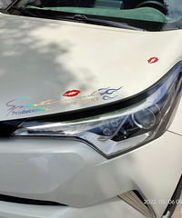 ���������ġ��촽����