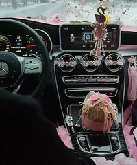 �����⳵�����Σ������Ⲽ����Ĵ��Կ�